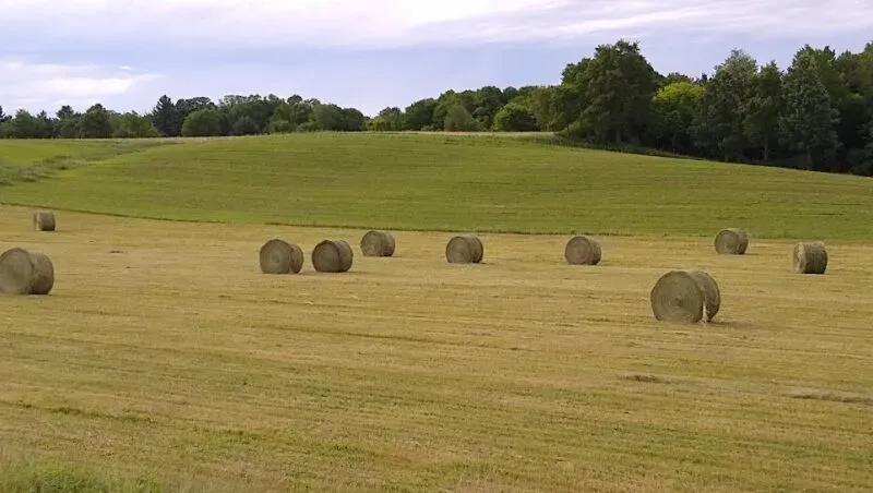 Don't waste precious hay during drought - AgriAmerica