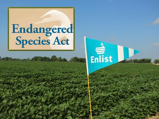 USFWS concludes Enlist herbicides don't put most endangered species at ...