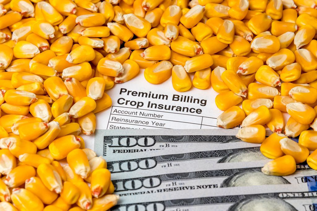 Spring crop insurance projected prices settle at 4.66 for corn, 11.55 for soybeans AgriAmerica