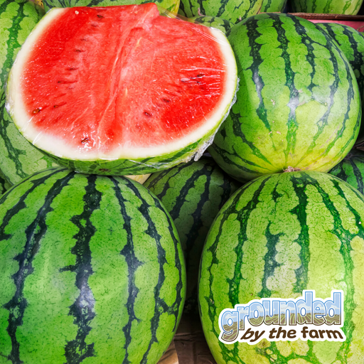 Growing Watermelons & Connecting to Customers cover art