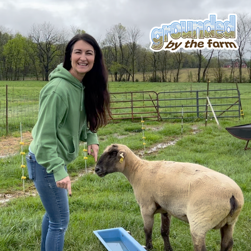 Talking Lamb from Pasture to Table with Ohio's Kristin Root Patterson cover art