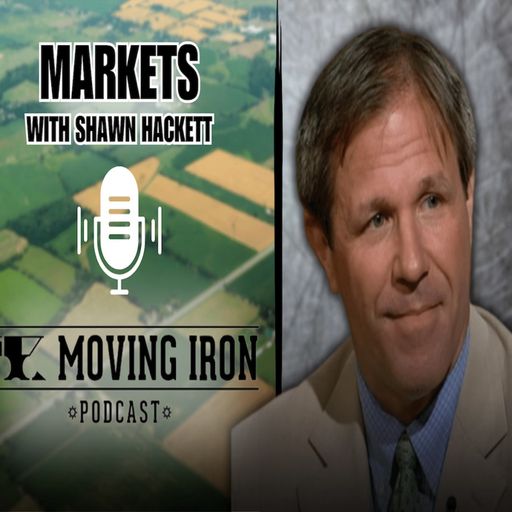 MIP Markets With Shawn Hackett - Correction Expected In June USDA Report cover art