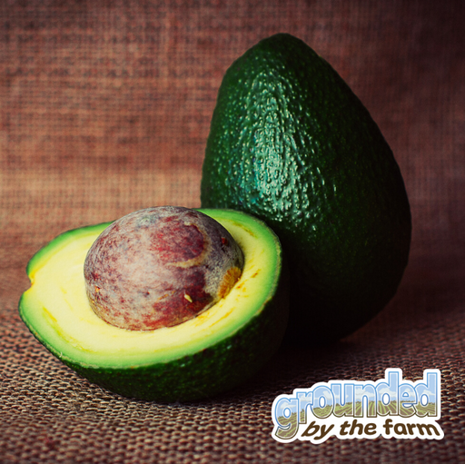 Getting the Perfect Avocado For Our Kitchens & The Farm cover art