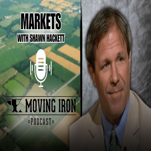 MIP Markets With Shawn Hackett - Avian Flu And Dairy Cattle cover art
