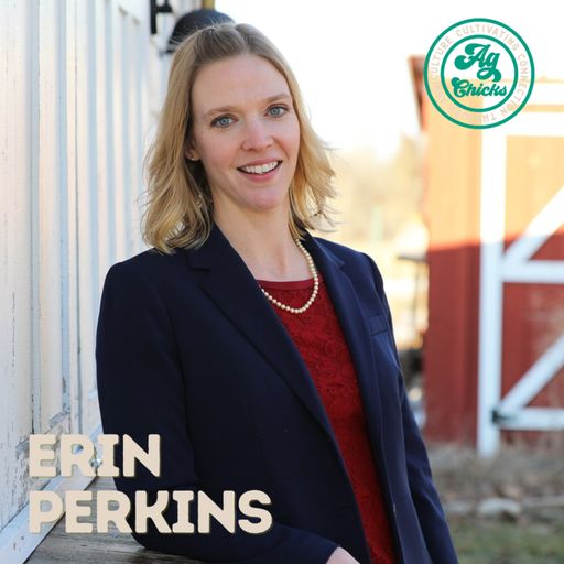 Ag Chicks | S4 Episode 6: Erin Perkins cover art