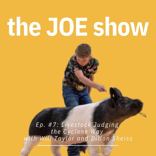 Episode 7: Livestock Judging the Cyclone Way with Will Taylor & Dillon Sheiss cover art