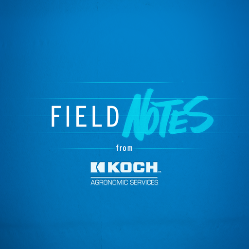 Field Notes cover art
