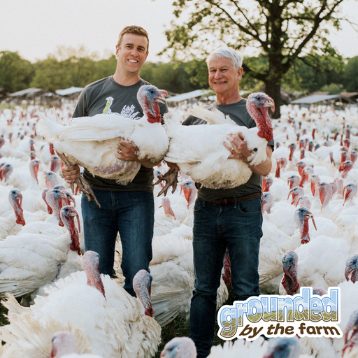 Turkey Farmers Are Deep Into the Holiday Rush cover art