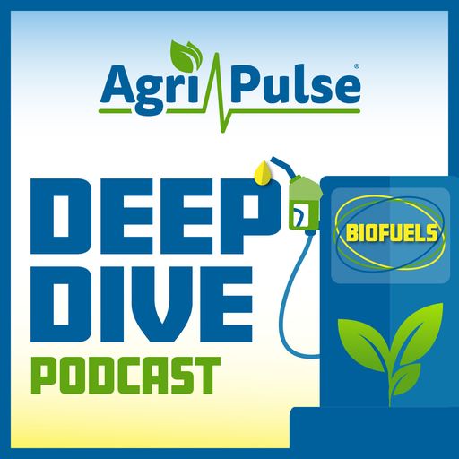 Deep Dive on Biofuels: Episode five: Holding pattern cover art