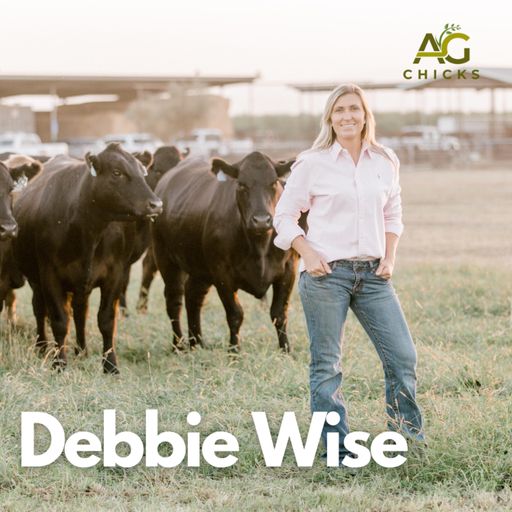 Ag Chicks | Episode 6: Debbie Wise cover art