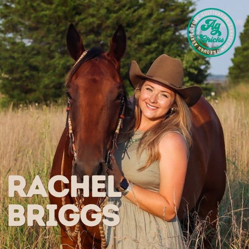 Ag Chicks | S4 Episode 22: Rachel Briggs cover art