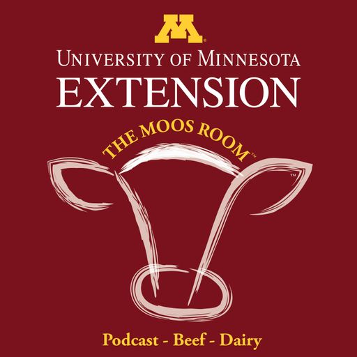 The Moos Room cover art