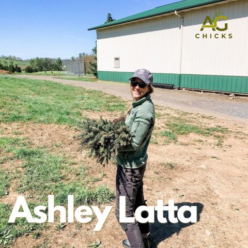 Ag Chicks | Episode 19: Ashley Latta- Tuckaway Trees cover art