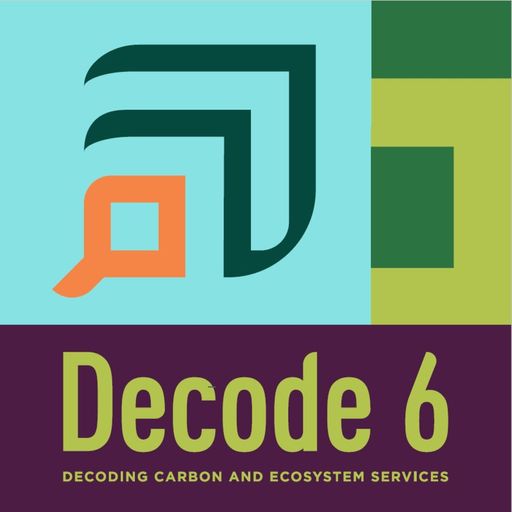 Decode 6 cover art