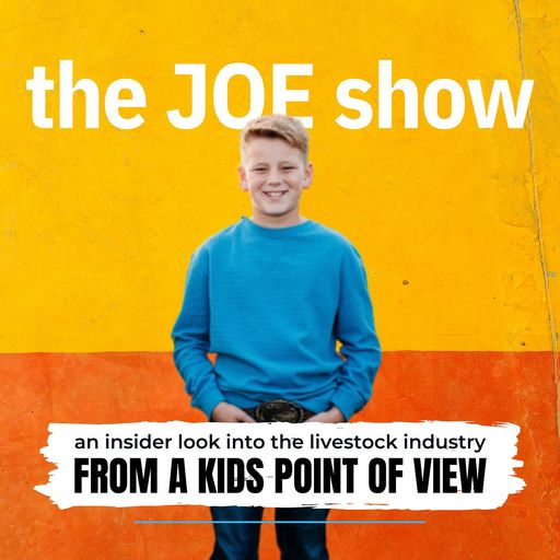 the JOE show cover art
