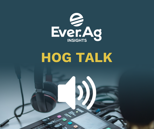 Hog Talk – May 14, 2024 cover art