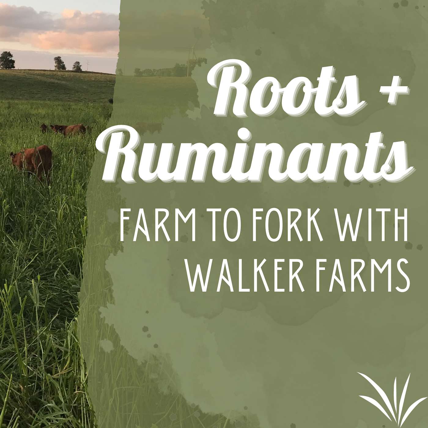 Farm to Fork with Walker Farms cover art