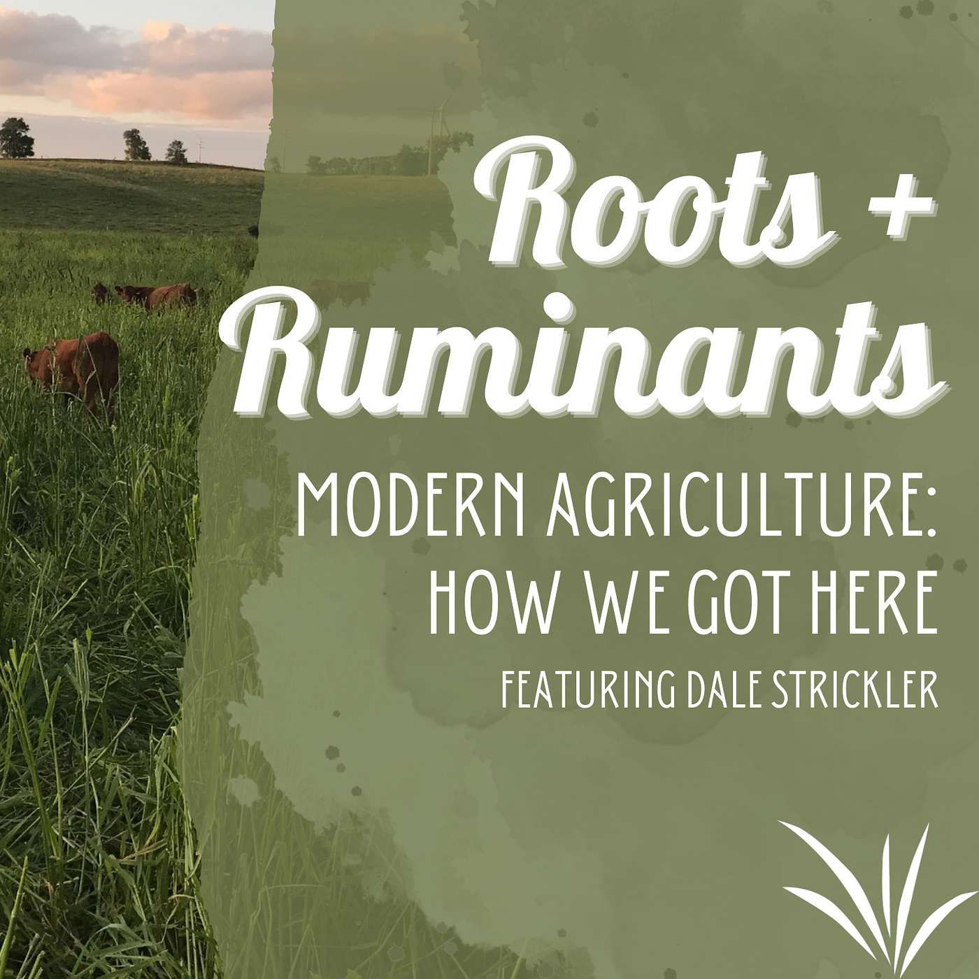 Dale Strickler | Modern Agriculture: How We Got Here cover art