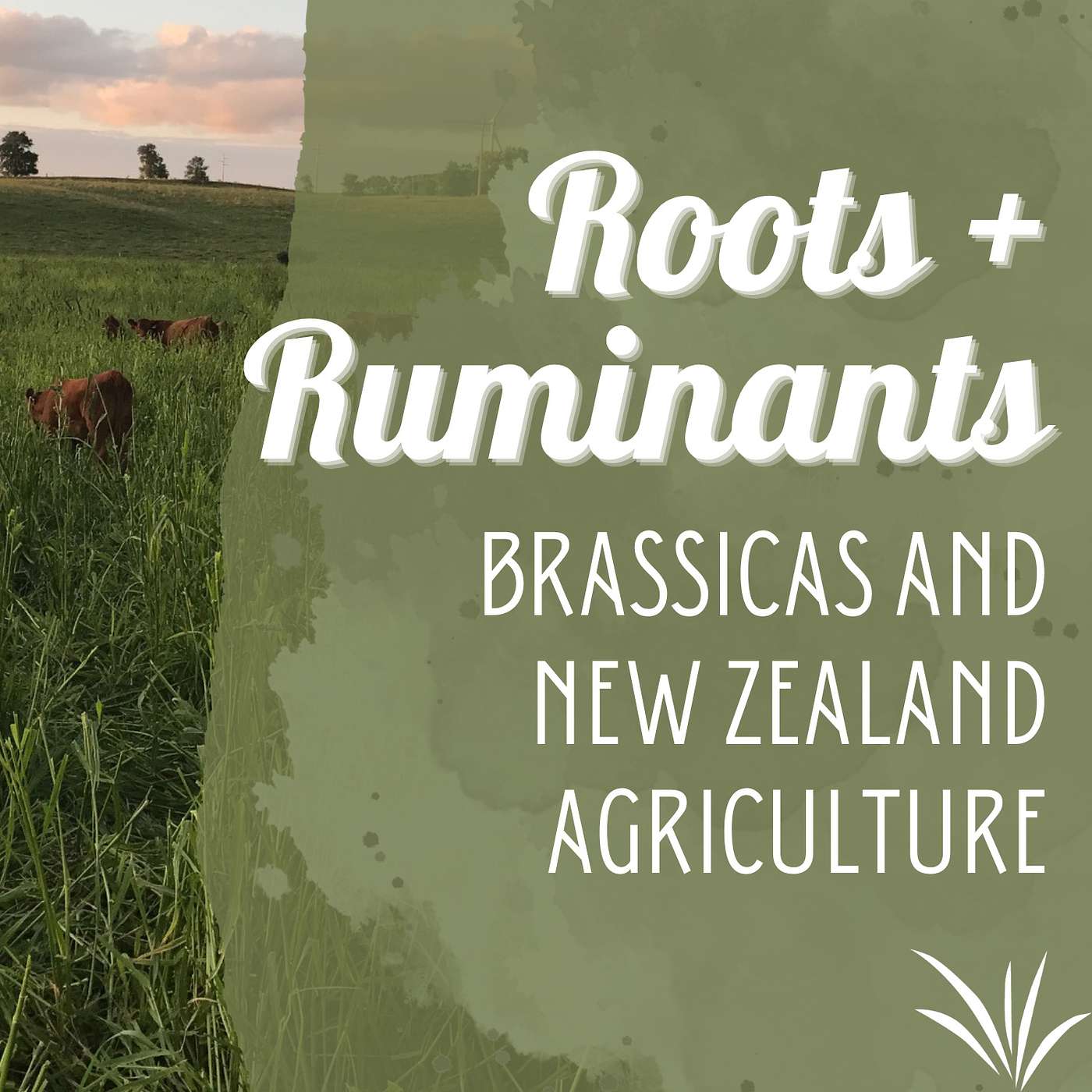 Steven Bennett on brassica breeding, New Zealand agriculture, and a brassica-only graze it, harvest it, rent it cover art