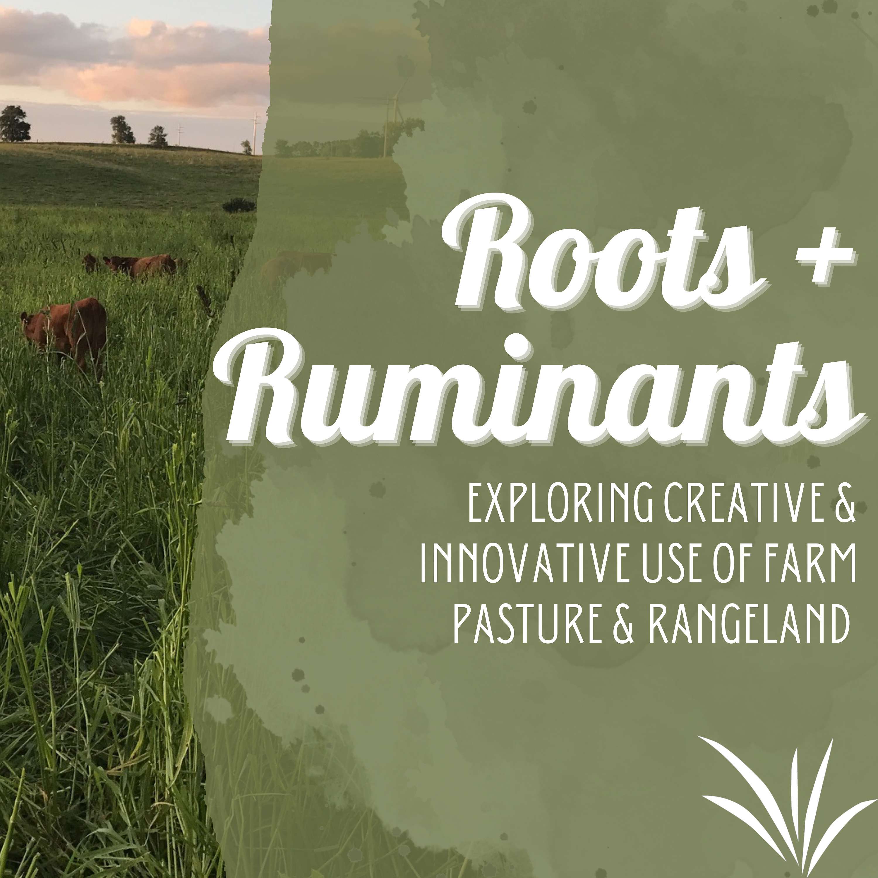 Roots + Ruminants cover art