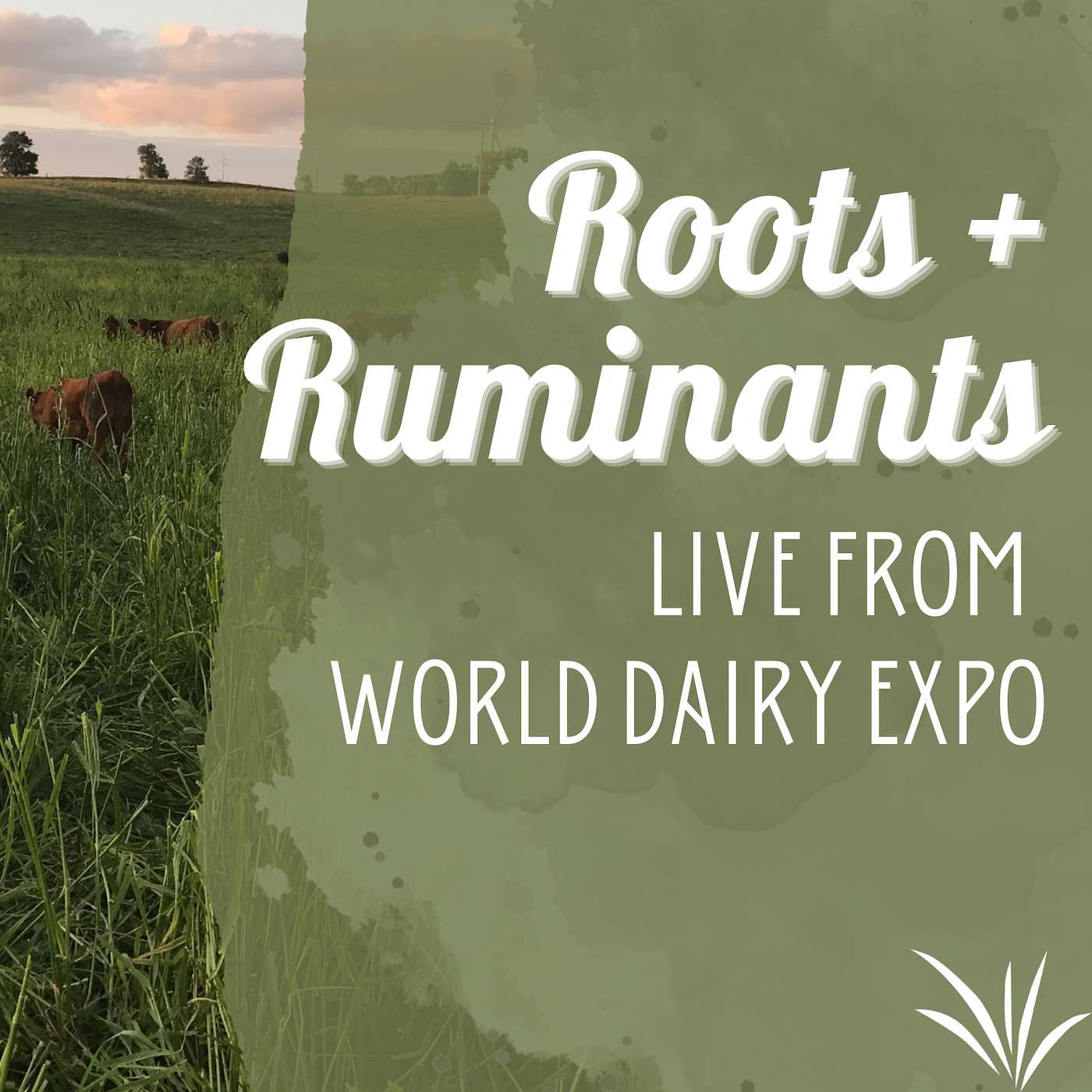 LIVE from World Dairy Expo cover art