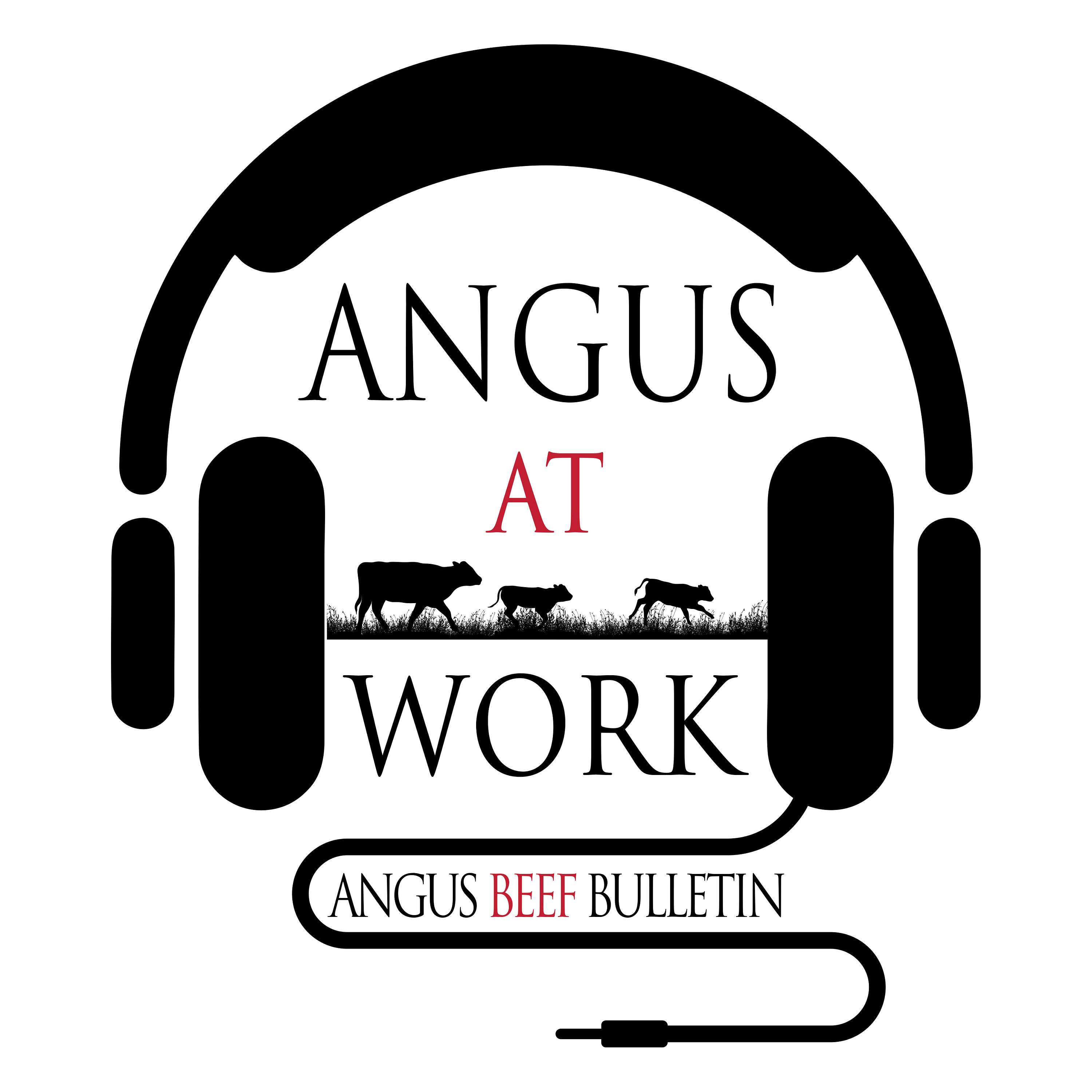 Angus At Work cover art