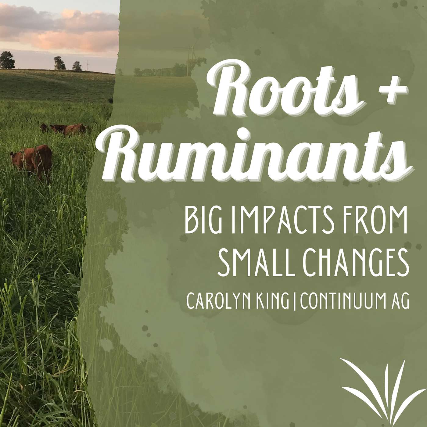 Carolyn King | Big Impacts from Small Changes cover art
