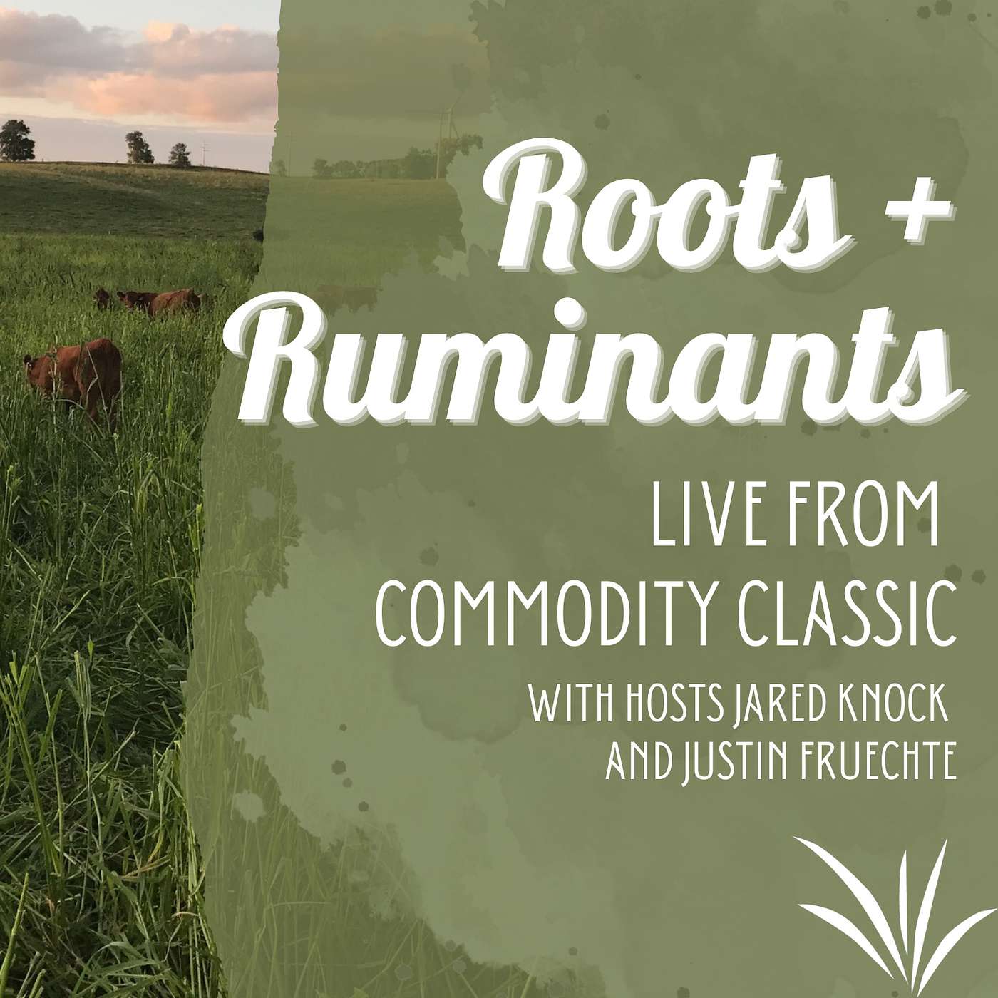 LIVE From Commodity Classic cover art