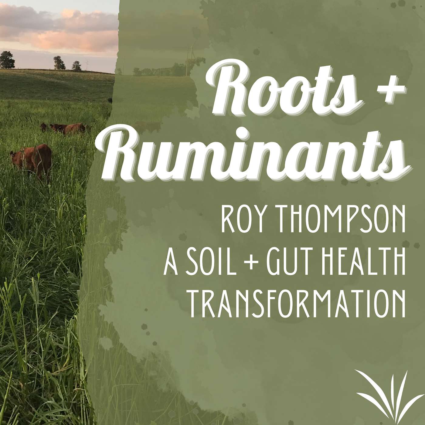 Roy Thompson | A soil + gut health transformation cover art