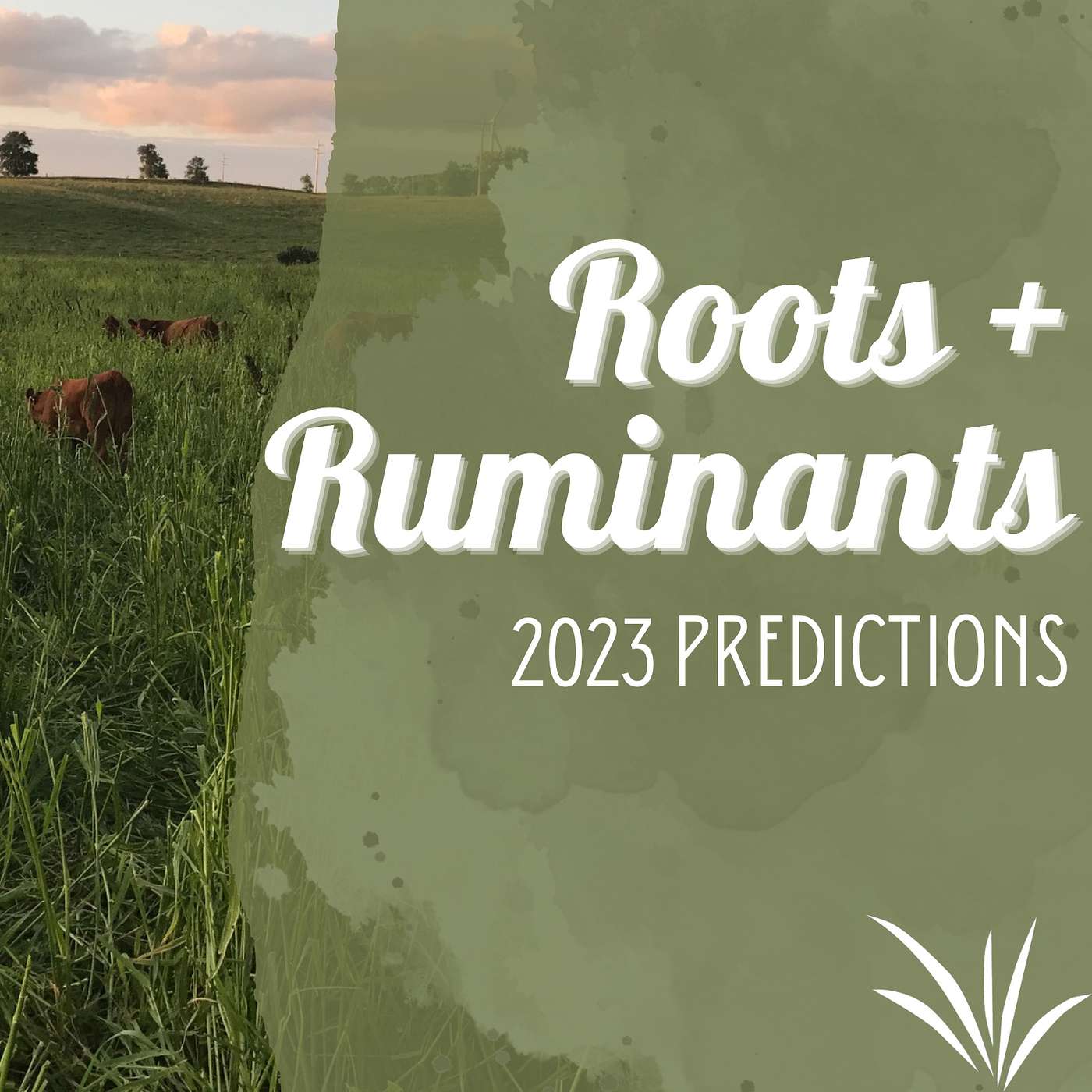 2023 Predictions cover art