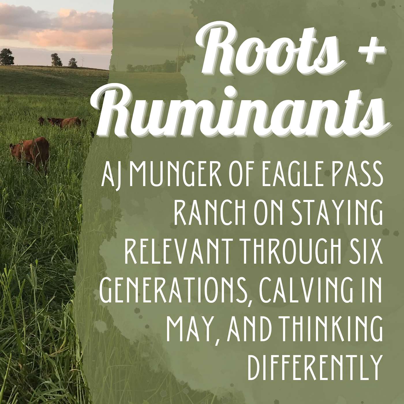 AJ Munger of Eagle Pass Ranch on staying relevant through six generations, calving in May, and thinking differently cover art