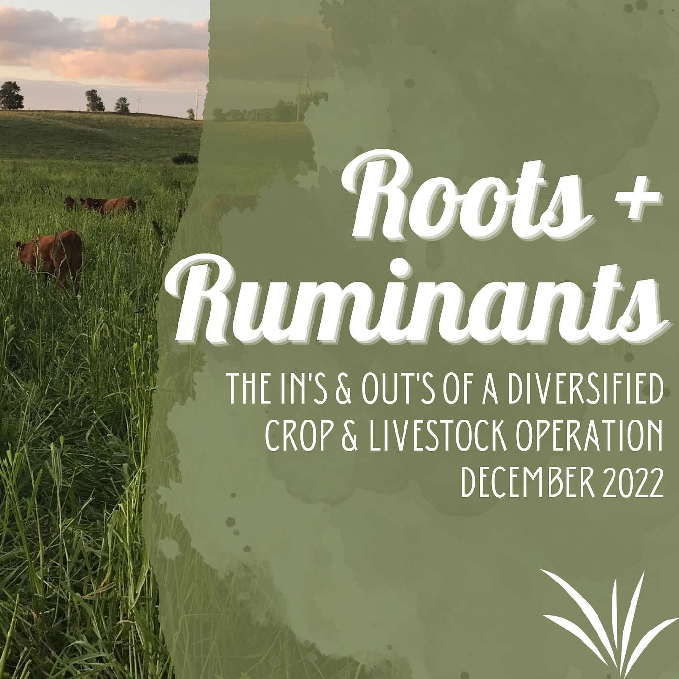 The In's and Out's of a Diversified Crop & Livestock Operation cover art