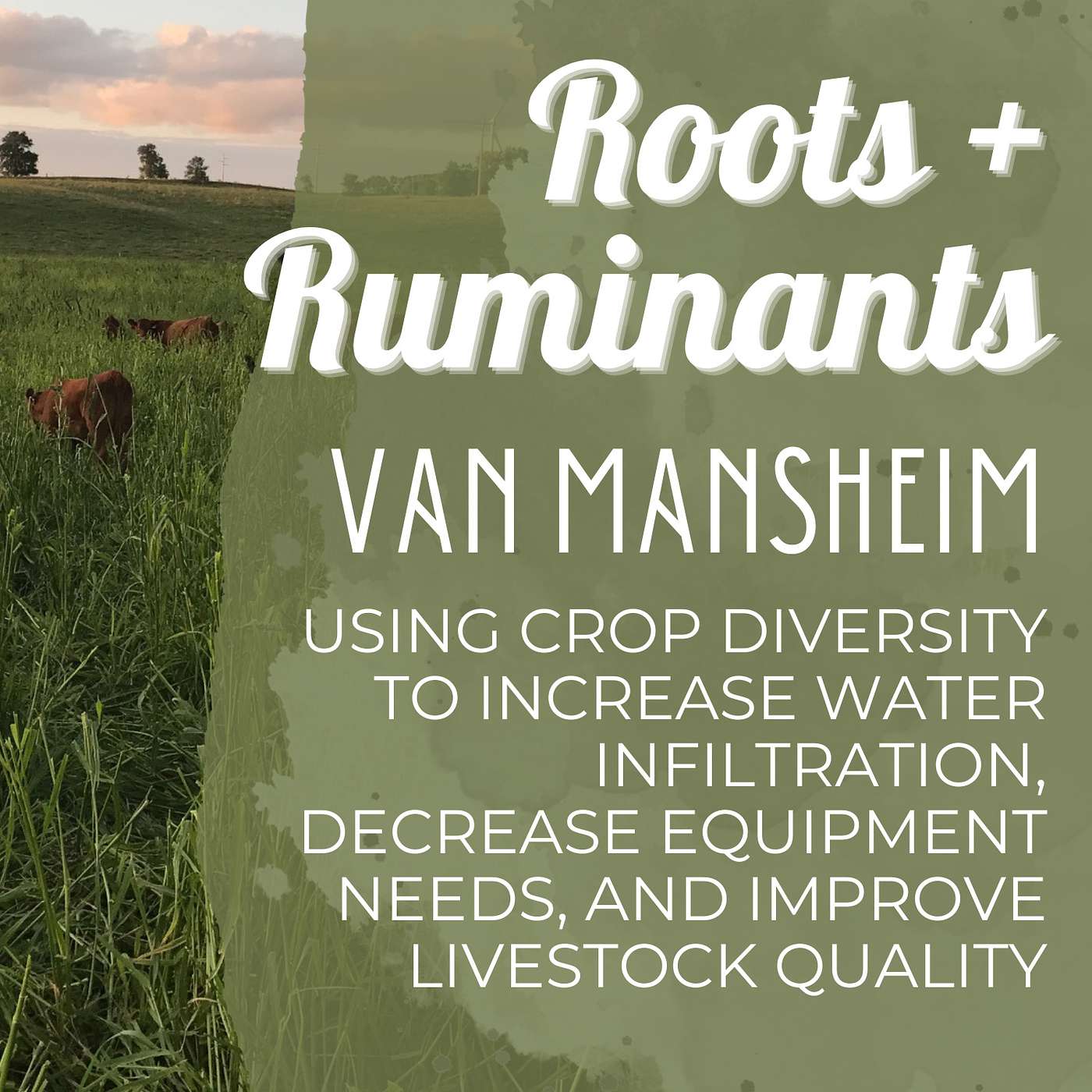 Van Mansheim on using crop diversity to increase water infiltration, decrease equipment needs, and improve livestock quality cover art