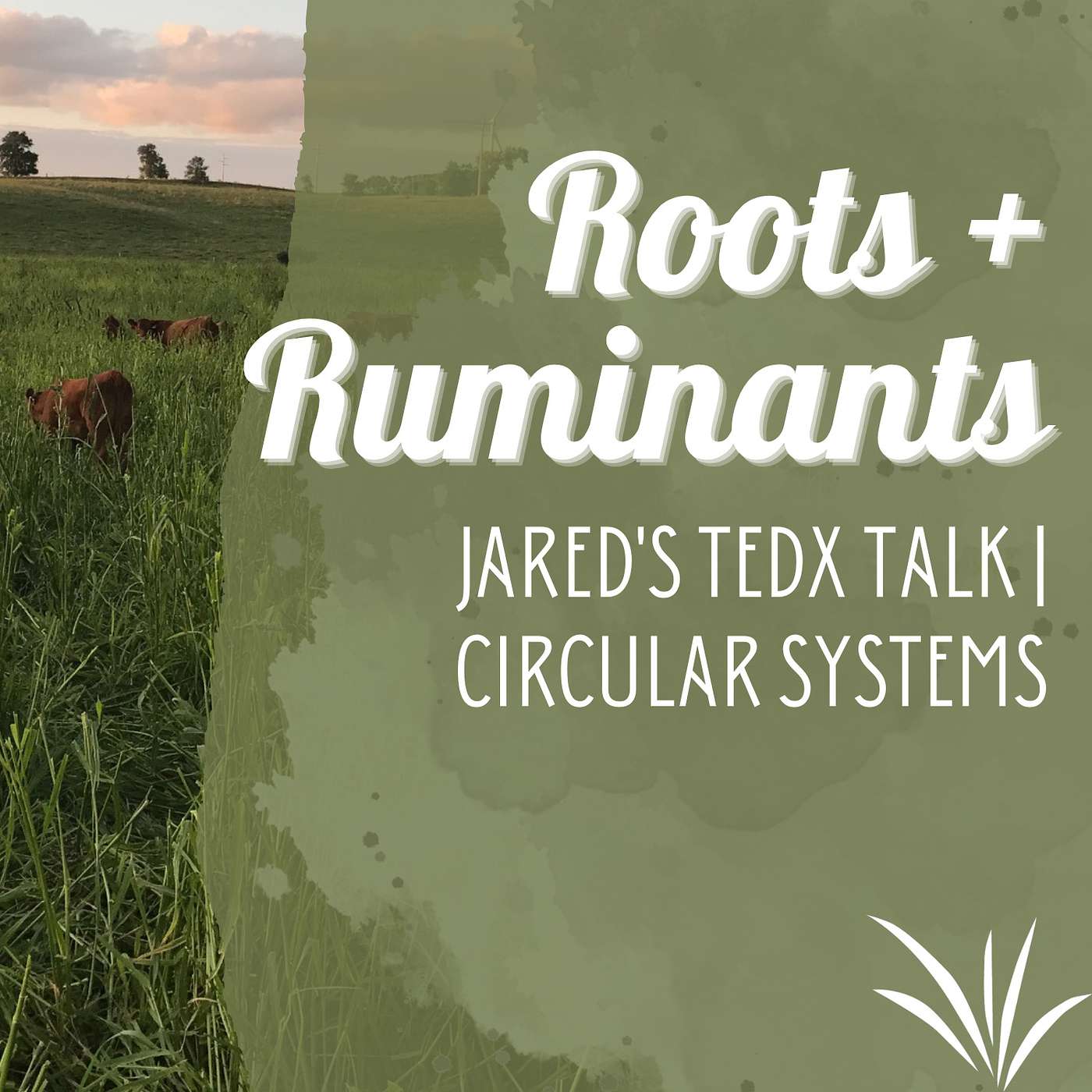 Jared's TEDx Talk | Circular Systems cover art