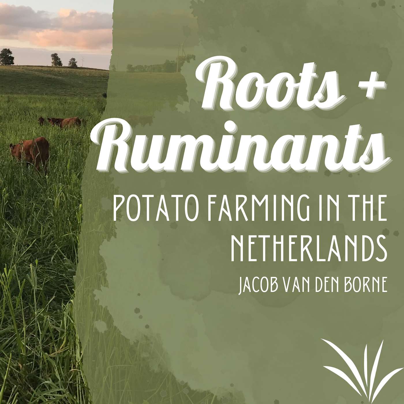 Growing potatoes for McDonalds in the Netherlands cover art