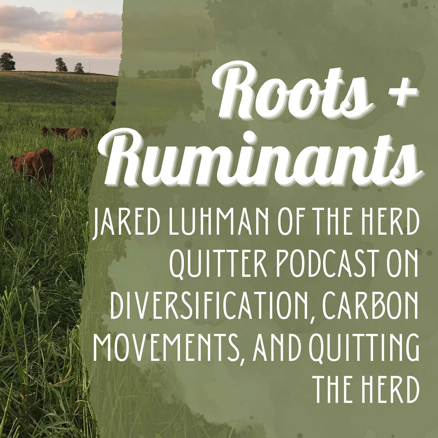 Jared Luhman of the Herd Quitter podcast on diversification, carbon movements, and quitting the herd cover art