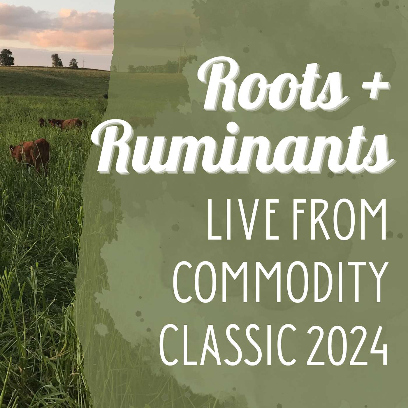 LIVE From Commodity Classic 2024 cover art