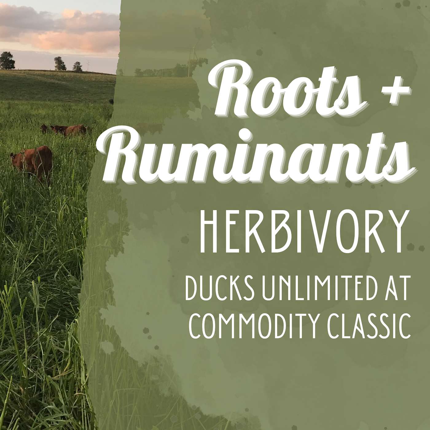Herbivory | Ducks Unlimited at Commodity Classic cover art