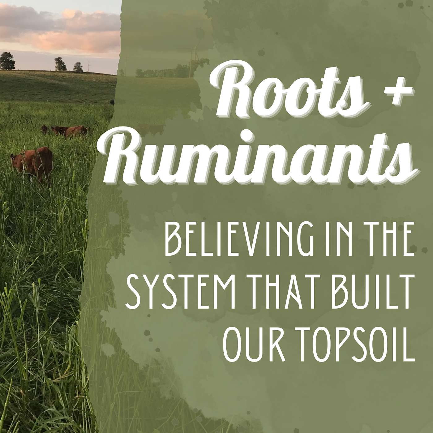 Christof Just: Believing in the system that built our topsoil cover art