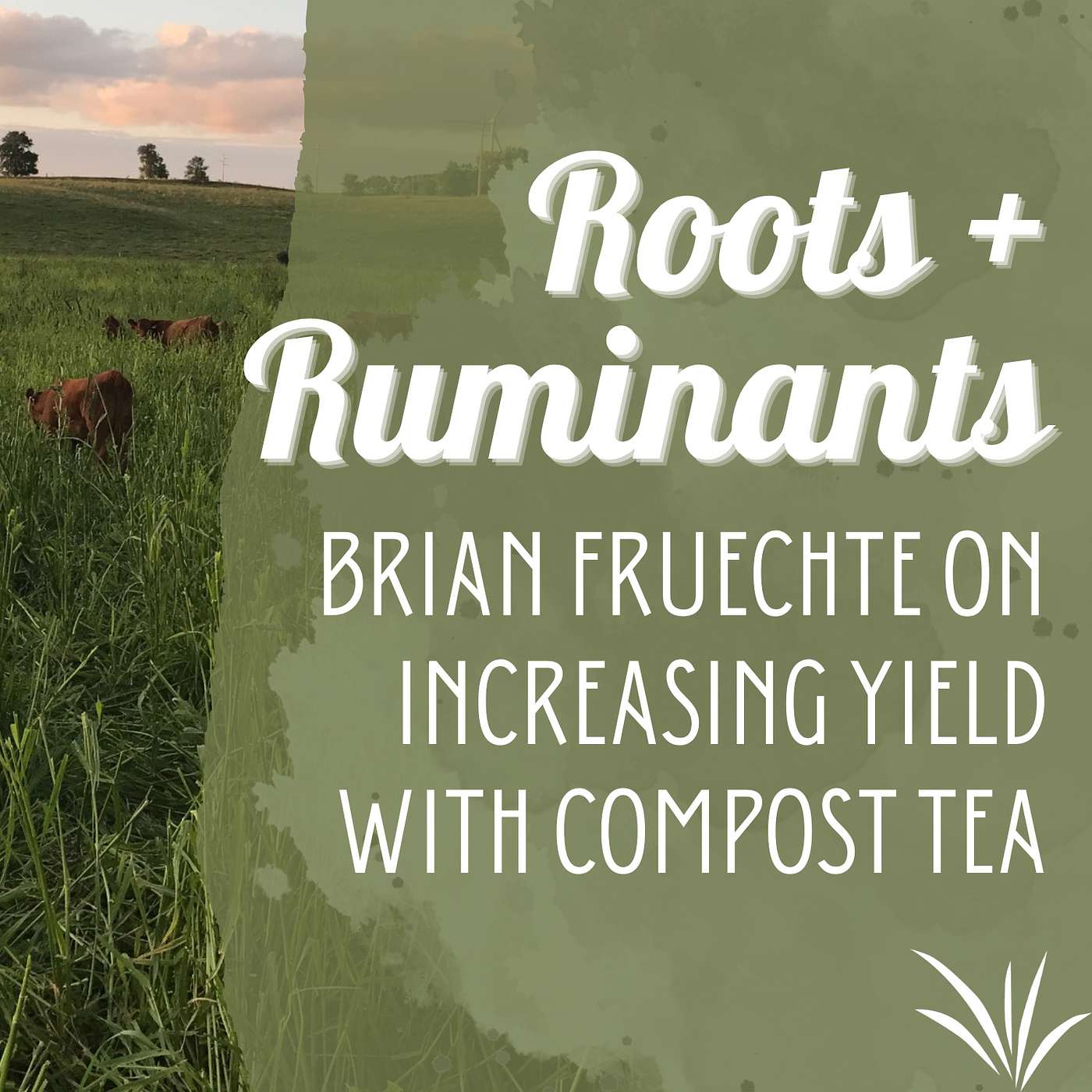 Brian Fruechte on improving yield with compost tea cover art