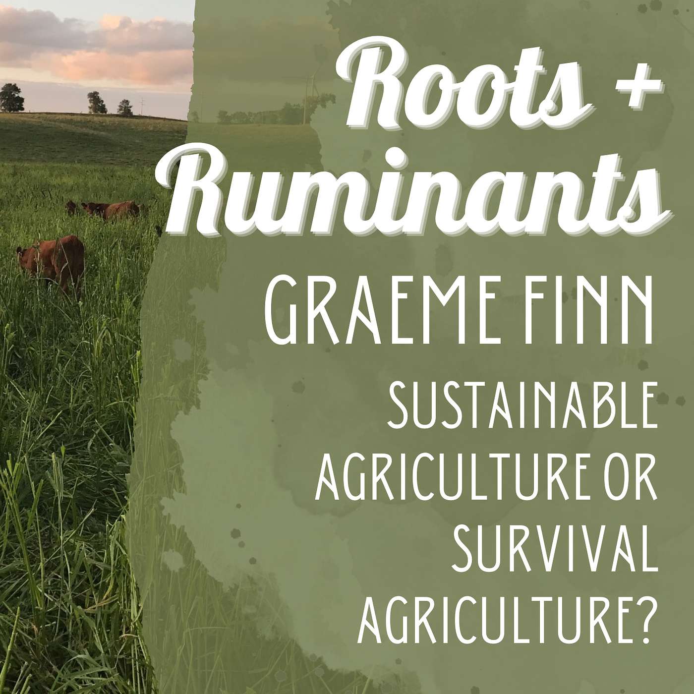 Graeme Finn: Sustainable Agriculture or Survival Agriculture? cover art