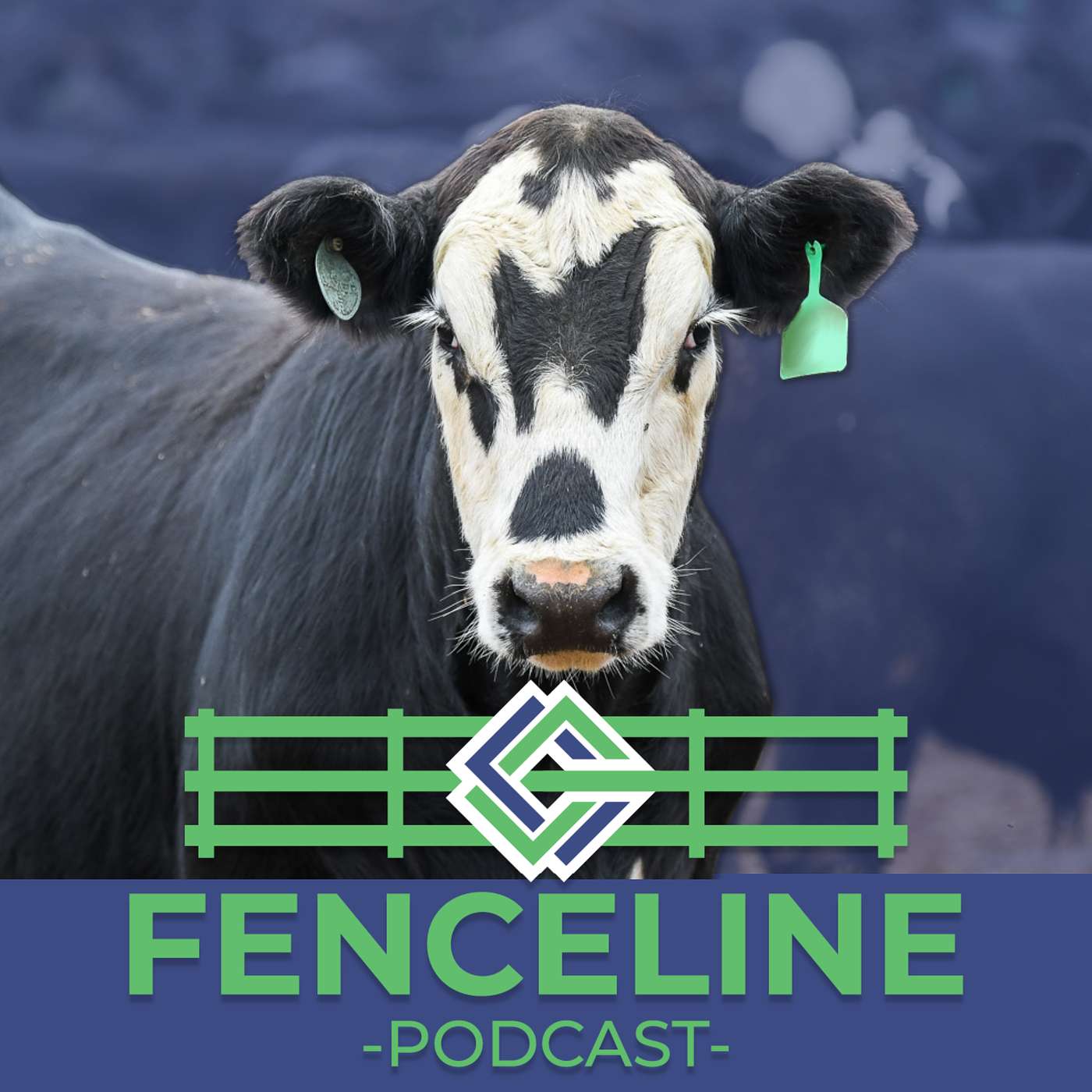 Financing Your Livestock Projects cover art