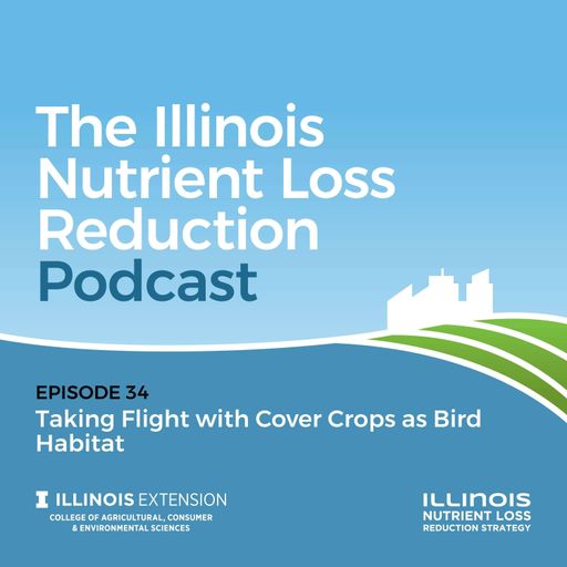 Episode 34 | Taking Flight with Cover Crops as Bird Habitat cover art