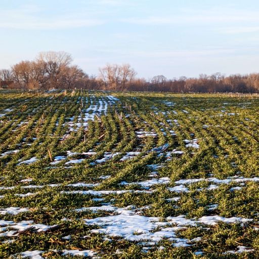 Cover crops in Minnesota: Recent challenges and future solutions cover art