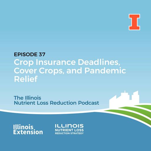 Episode 37 | Crop Insurance Deadlines, Cover Crops, and Pandemic Relief cover art