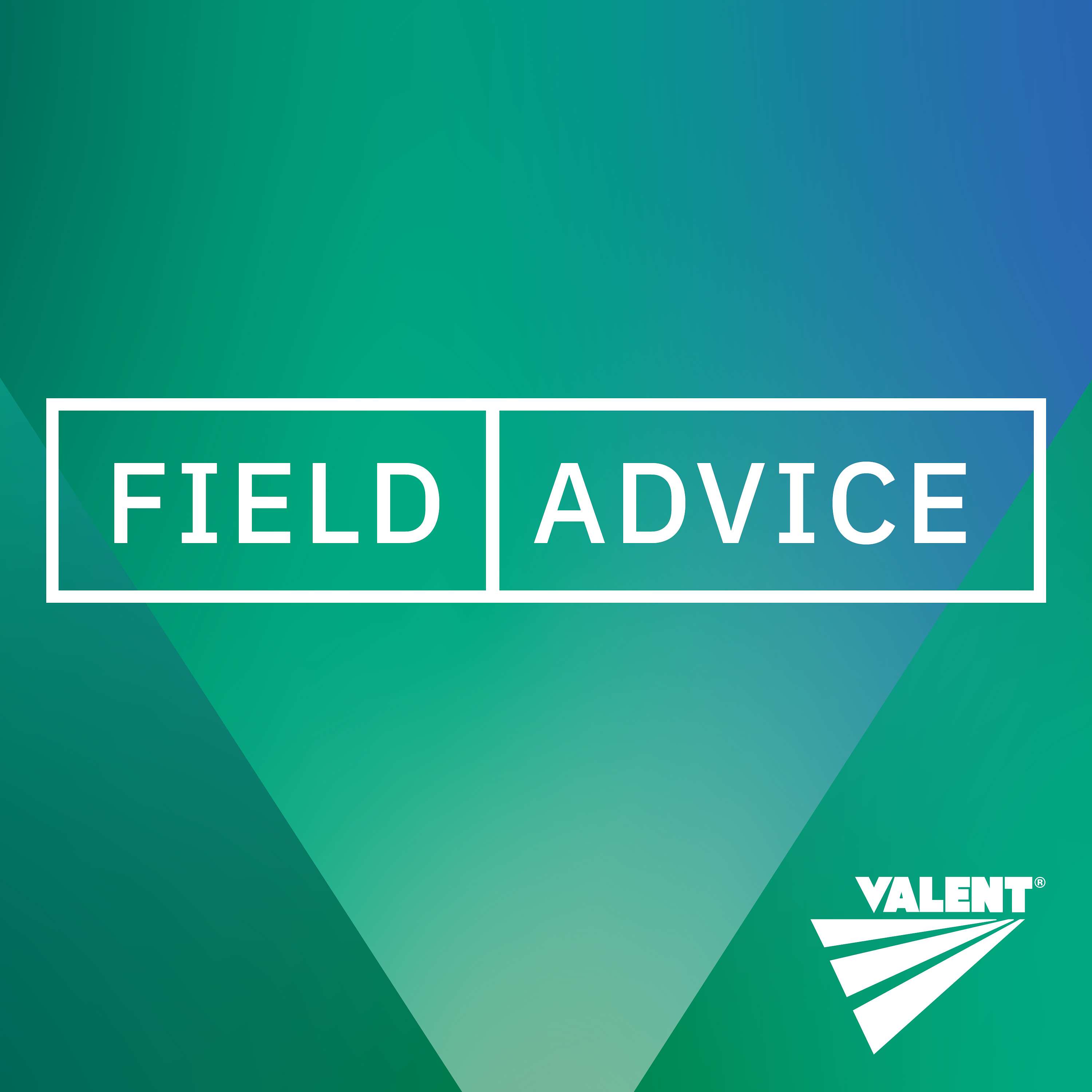 Field Advice cover art