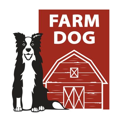 Ep. 28: The Border Collie for farm, ranch, and trial cover art