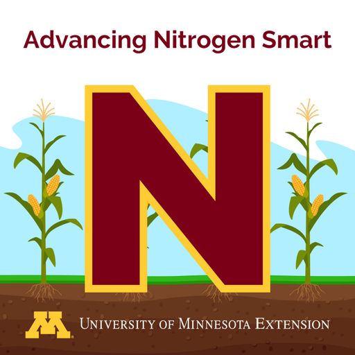 Nitrogen placement: What Minnesota farmers should know about depth, incorporation, loss pathways, and more cover art
