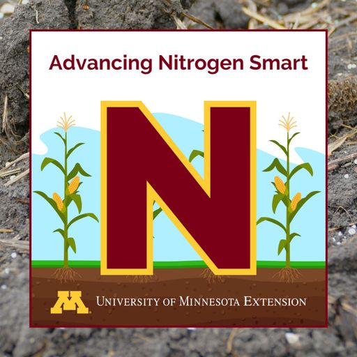 Statewide best management practices for nitrogen: A valuable resource for Minnesota growers cover art