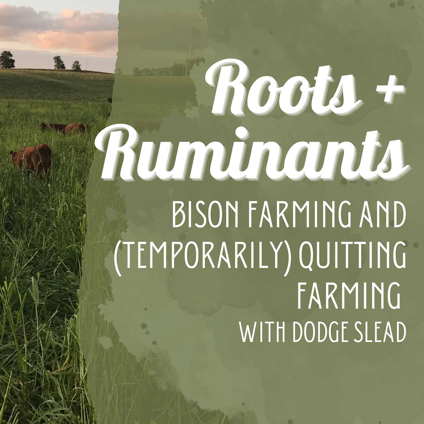 Bison production and (temporarily) quitting farming with Dodge Slead cover art